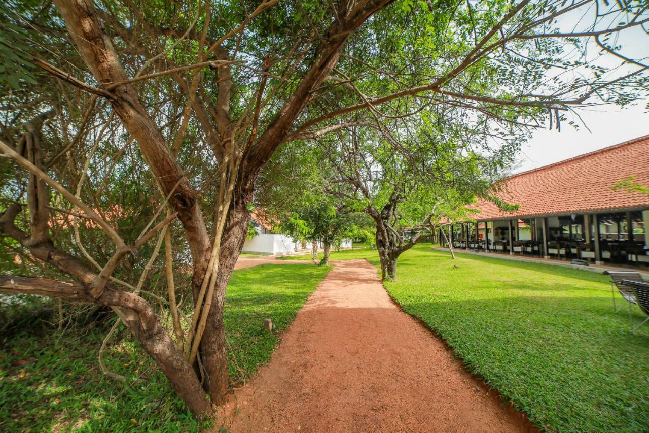 Sigiriyajungles Resort & Spa Esterno foto